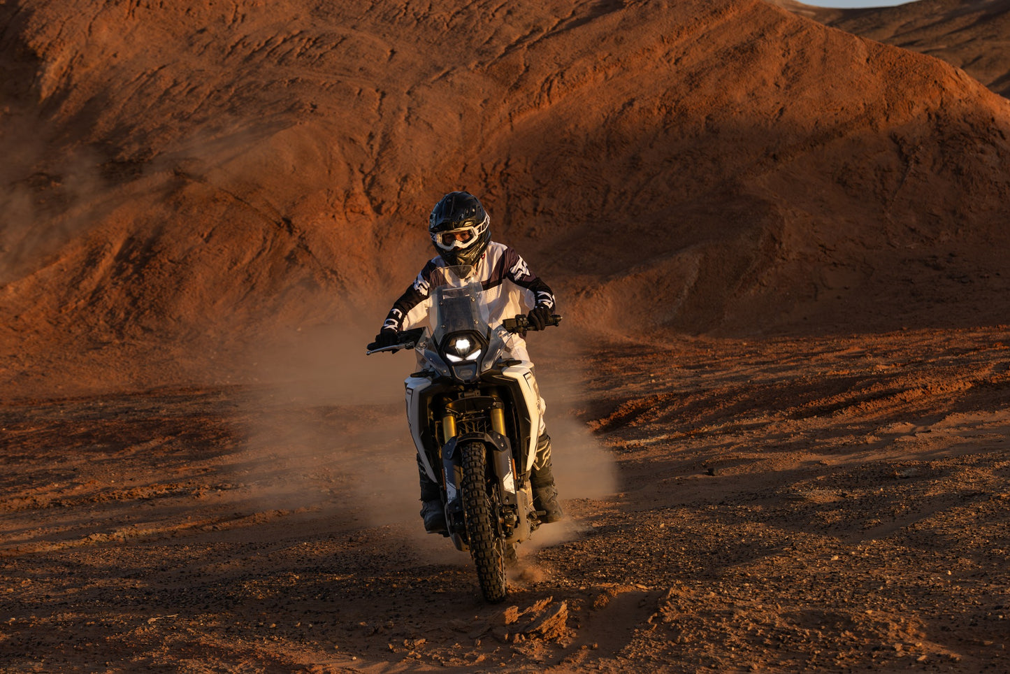 VOGE DS800rally Høsten 2025