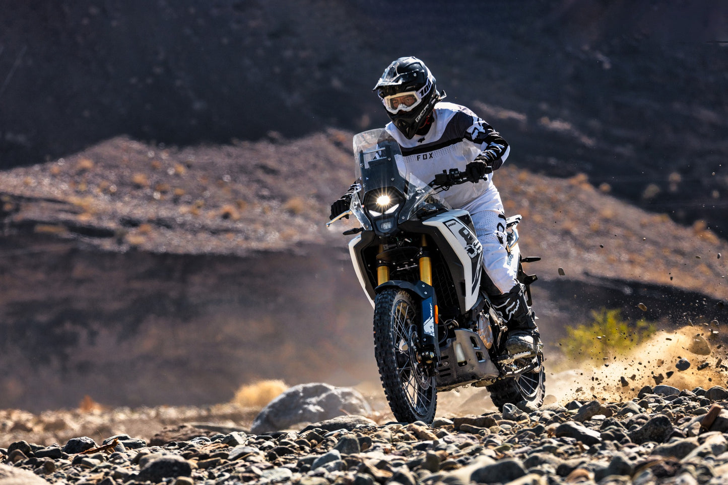 VOGE DS800rally Høsten 2025